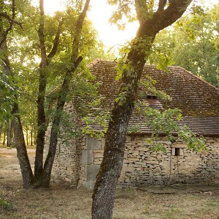 Отель Le Bois De Faral Le Bastit Экстерьер фото